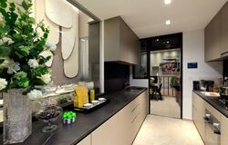 Parc Greenwich (D28), Condominium #474132641